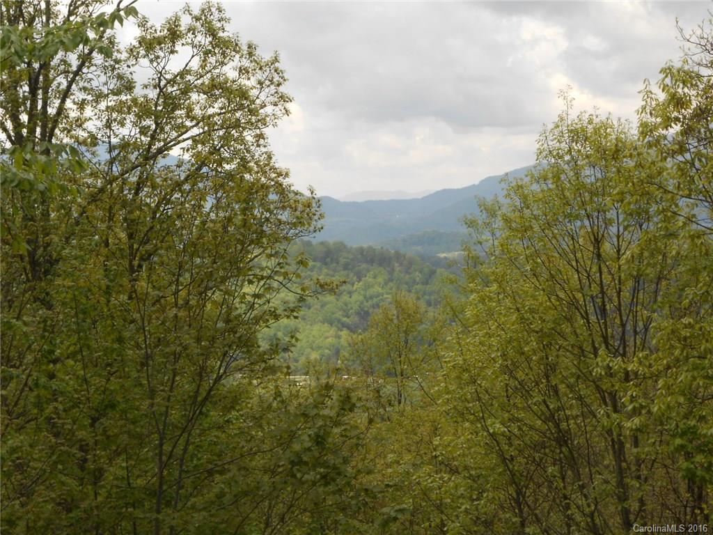 161 Smokey Ridge Loop, Unit 202 Waynesville, NC 28786 - Photo 3 of 21