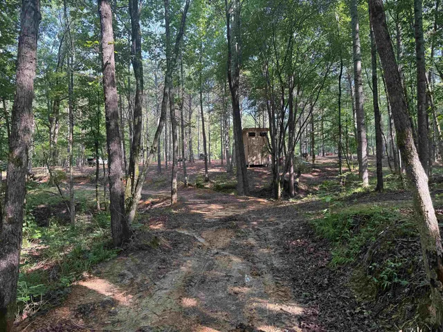 a view of outdoor space and yard