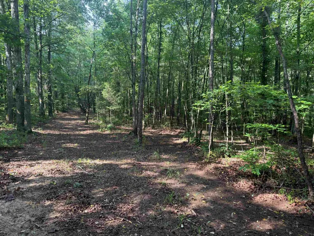 a view of outdoor space and trees