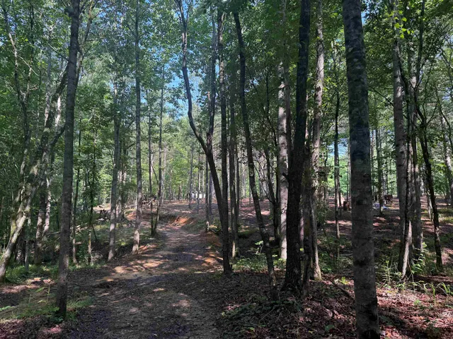 a view of outdoor space and green space
