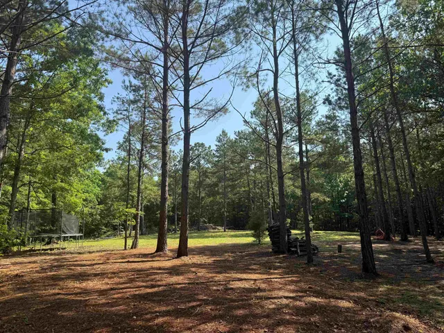 a view of a yard with a tree