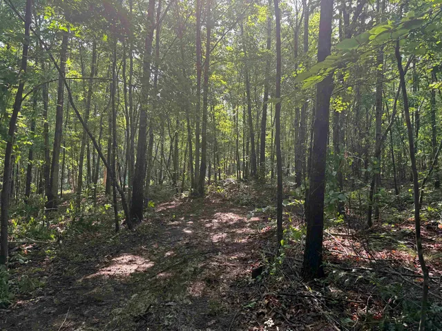 a view of outdoor space with trees