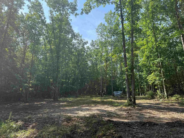 a view of a yard with a tree