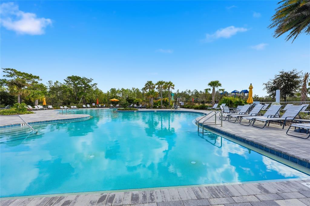 32992 Major Oak Drive Wesley Chapel, FL 33545 - Photo 41 of 56