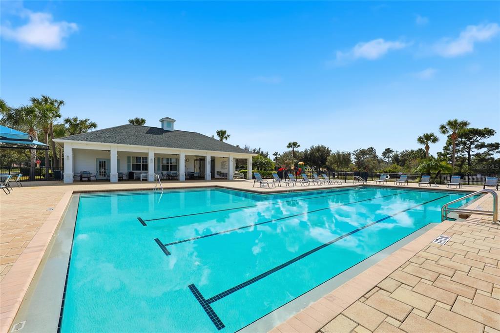 32992 Major Oak Drive Wesley Chapel, FL 33545 - Photo 46 of 56 a view of house with a swimming pool