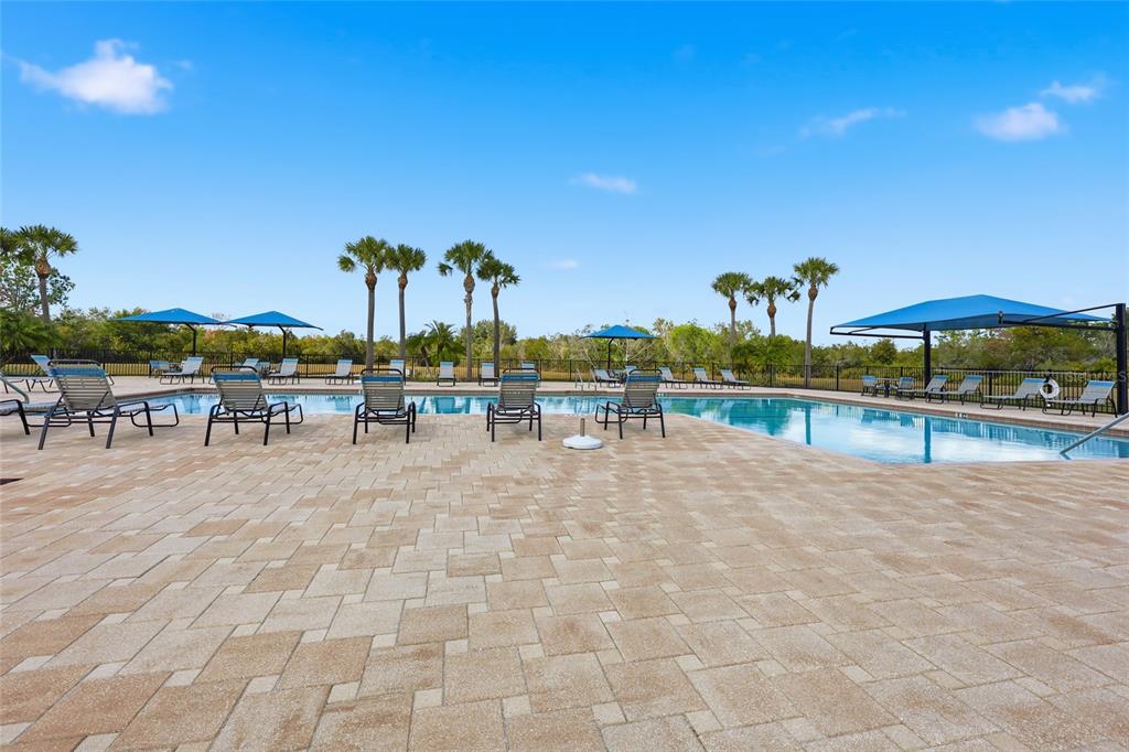 32992 Major Oak Drive Wesley Chapel, FL 33545 - Photo 48 of 56 a view of a patio with chairs and table