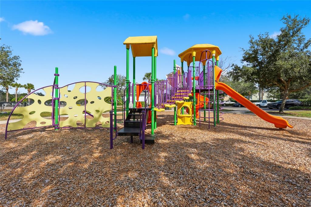 32992 Major Oak Drive Wesley Chapel, FL 33545 - Photo 49 of 56 a view of outdoor space with seating