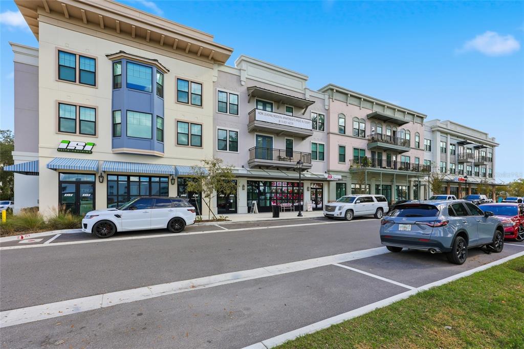 32992 Major Oak Drive Wesley Chapel, FL 33545 - Photo 55 of 56 a building view