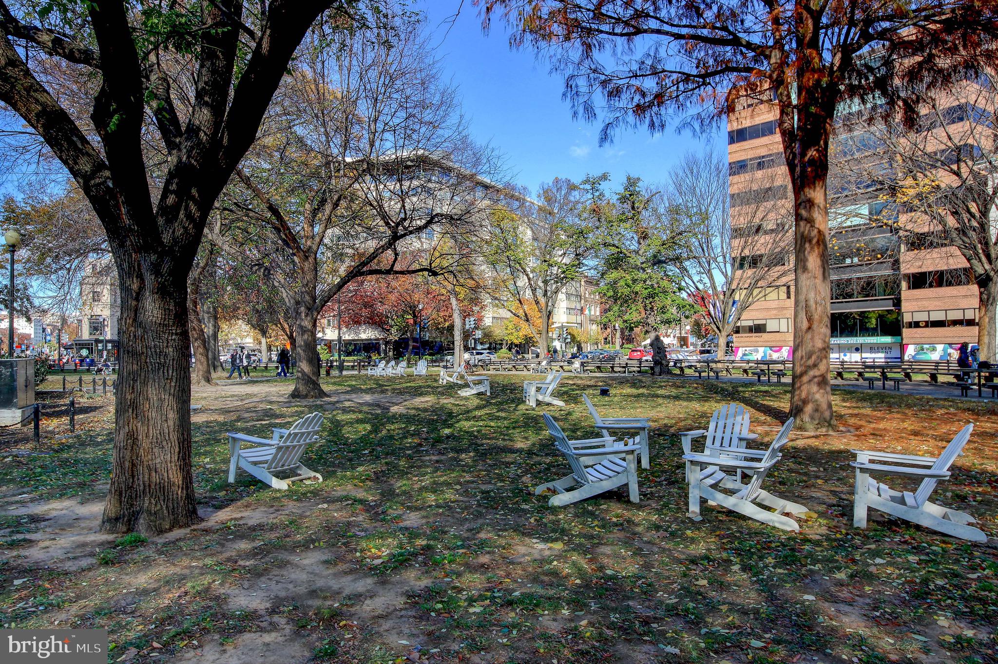 1526 17th Street Northwest, Unit 207 Washington, DC 20036 - Photo 44 of 49 a view of a yard with plants and trees