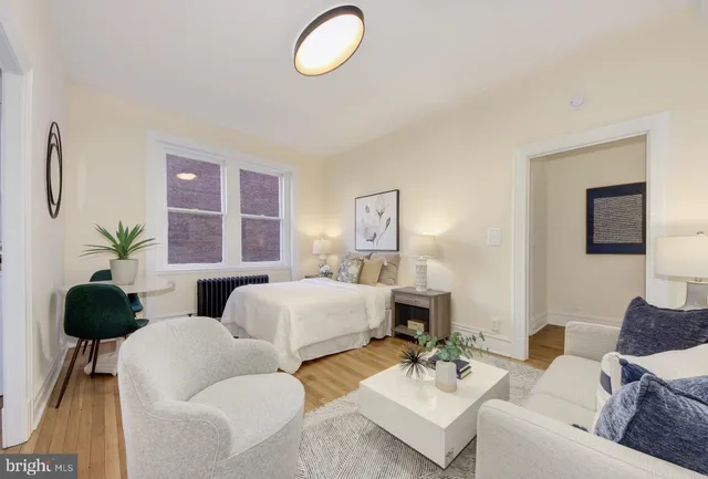 a living room with furniture potted plant and a window