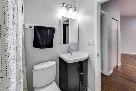 a bathroom with a toilet sink and mirror