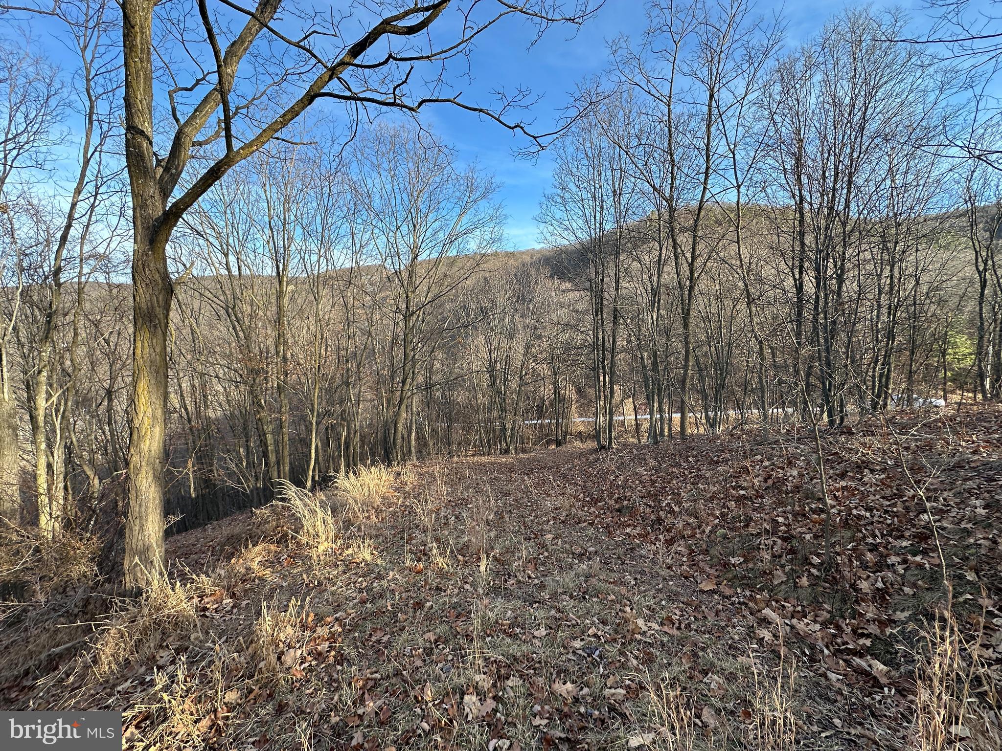 333 Nathaniel Mountain Road Moorefield, WV 26836 - Photo 29 of 65