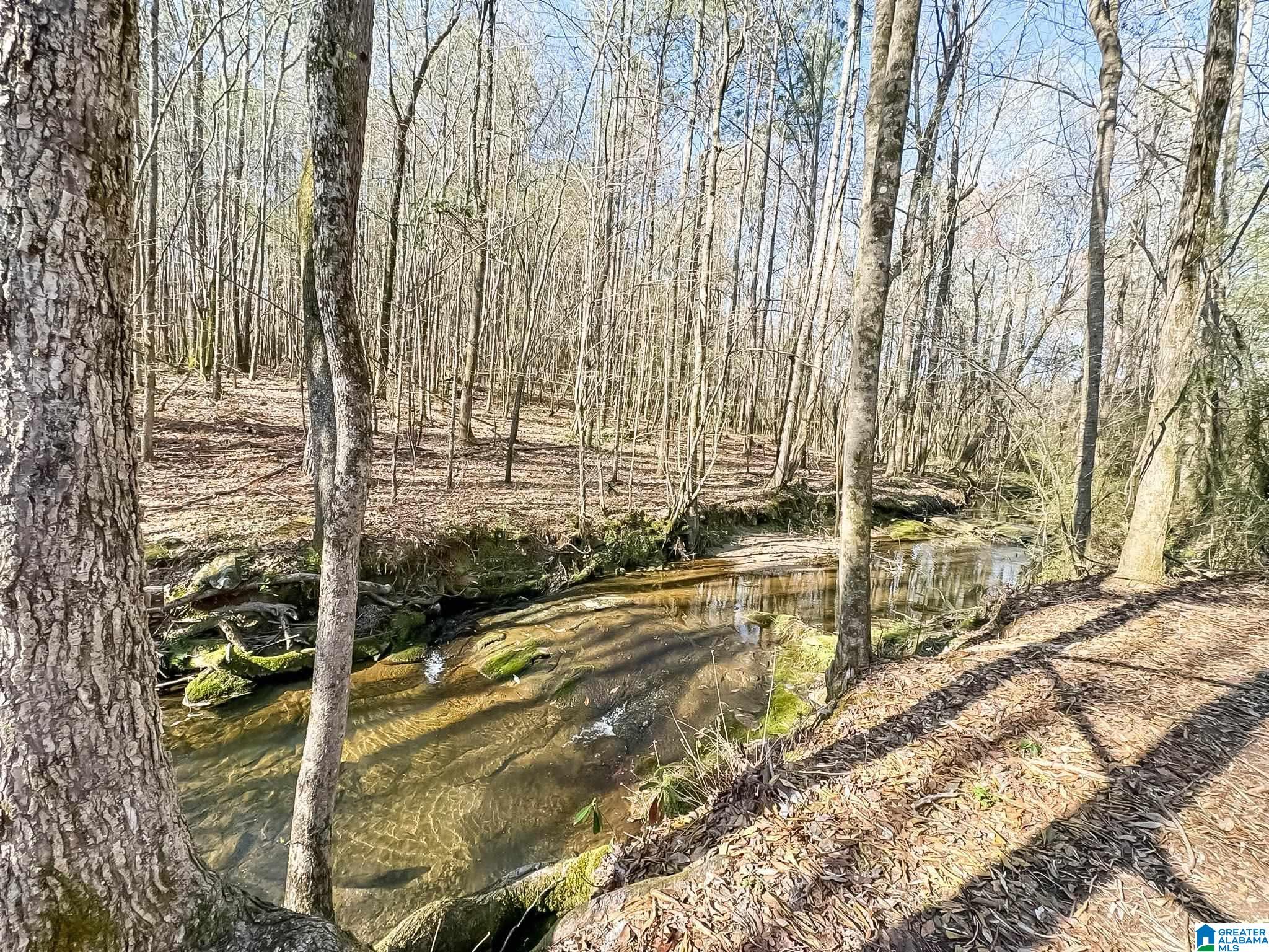 120 Poplar Ridge Ashland, AL 36251 - Photo 33 of 50