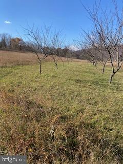 18493 Amberson Road Spring Run, PA 17262 - Photo 48 of 52