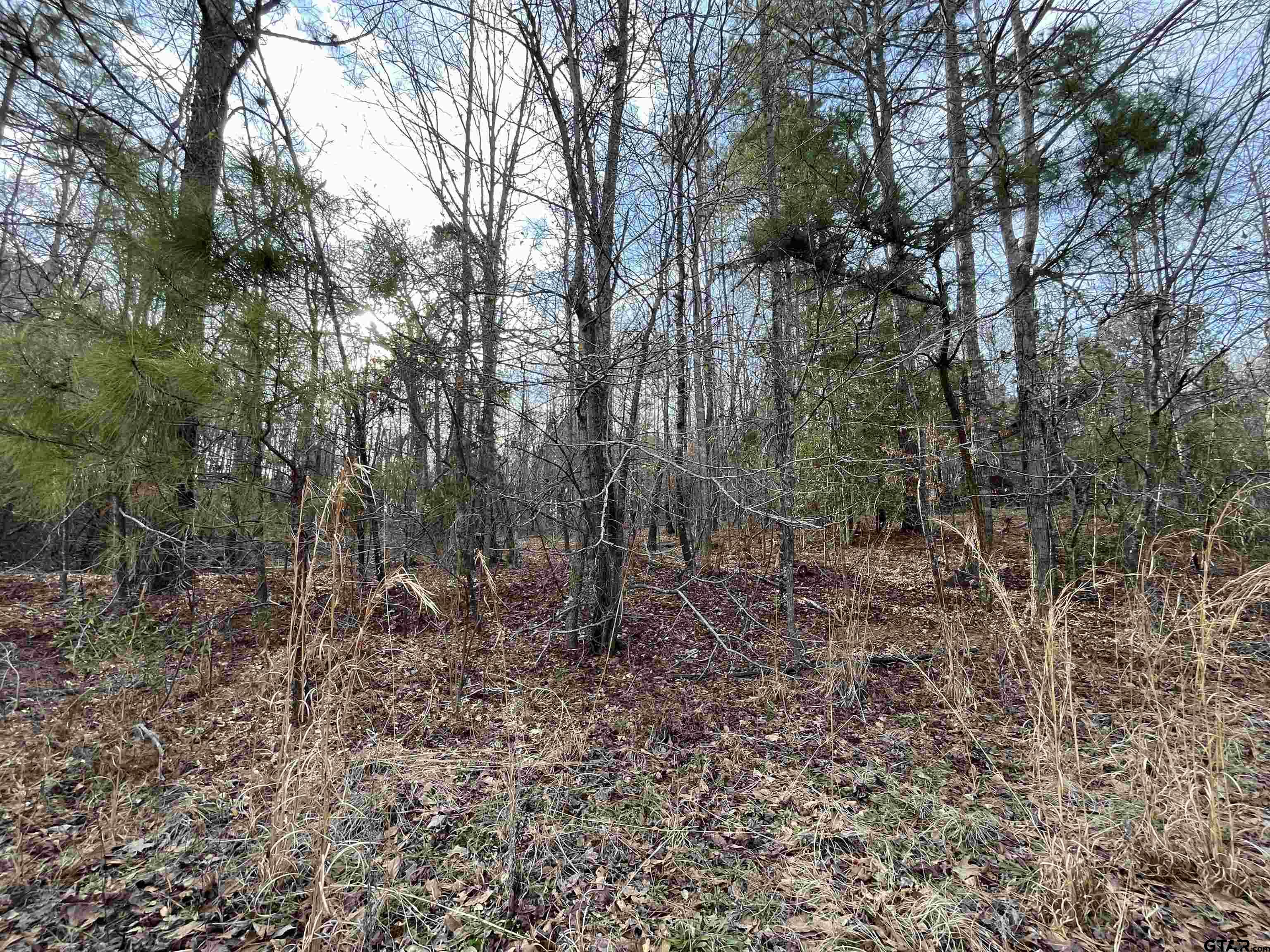 7 Venus Road White Oak, TX 75693 - Photo 11 of 14