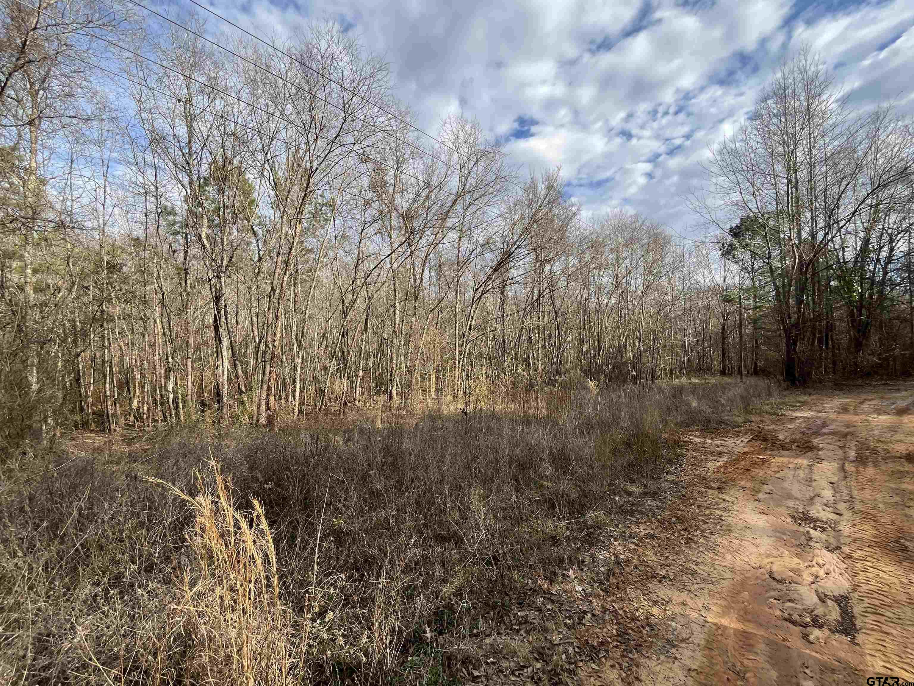 7 Venus Road White Oak, TX 75693 - Photo 12 of 14