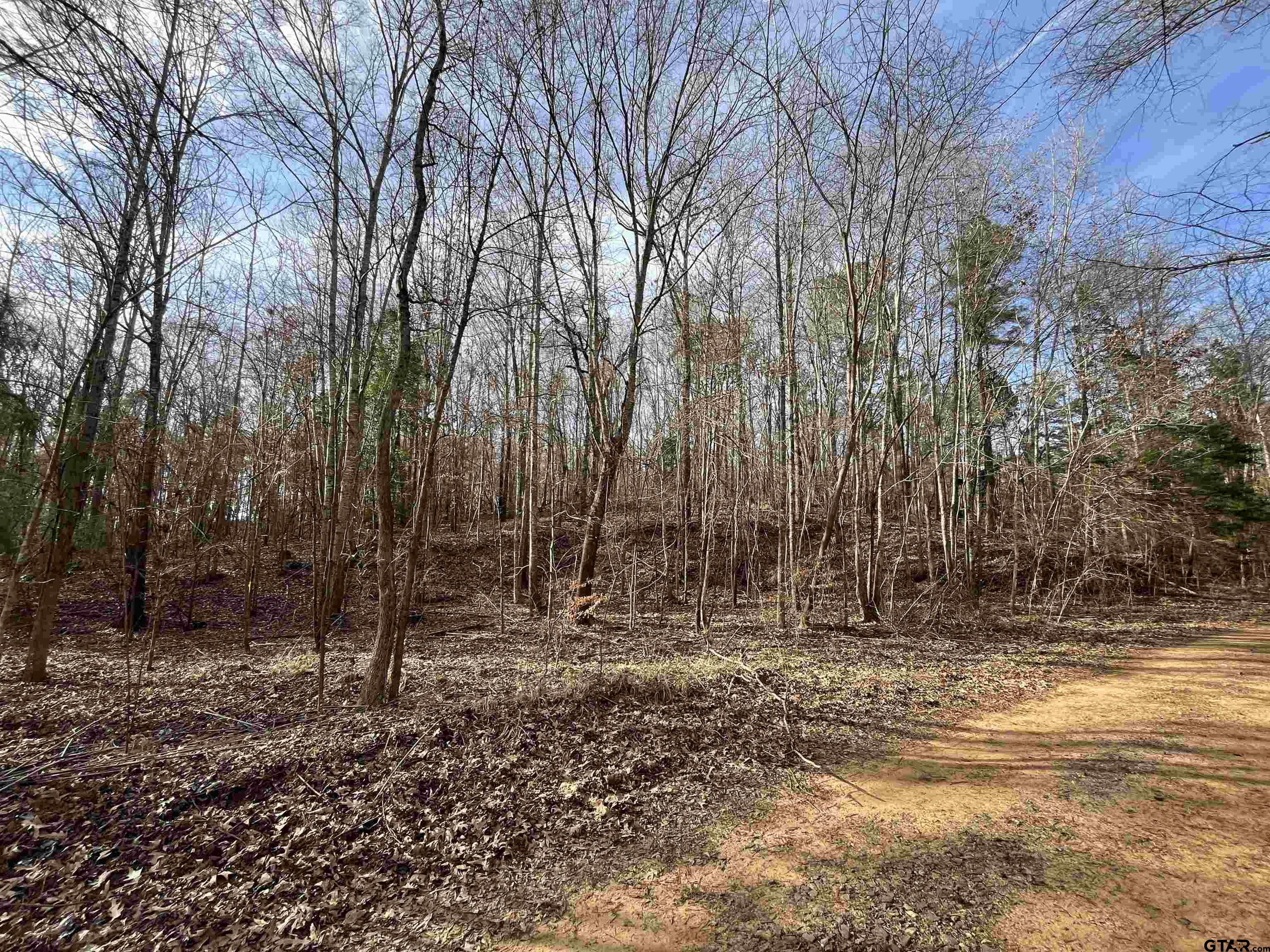 7 Venus Road White Oak, TX 75693 - Photo 13 of 14