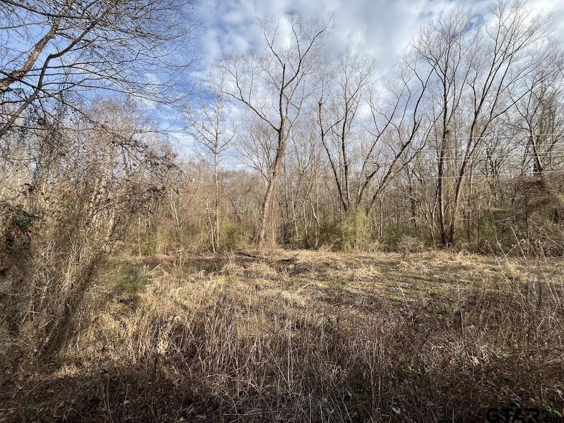 7 Venus Road White Oak, TX 75693 - Photo 14 of 14