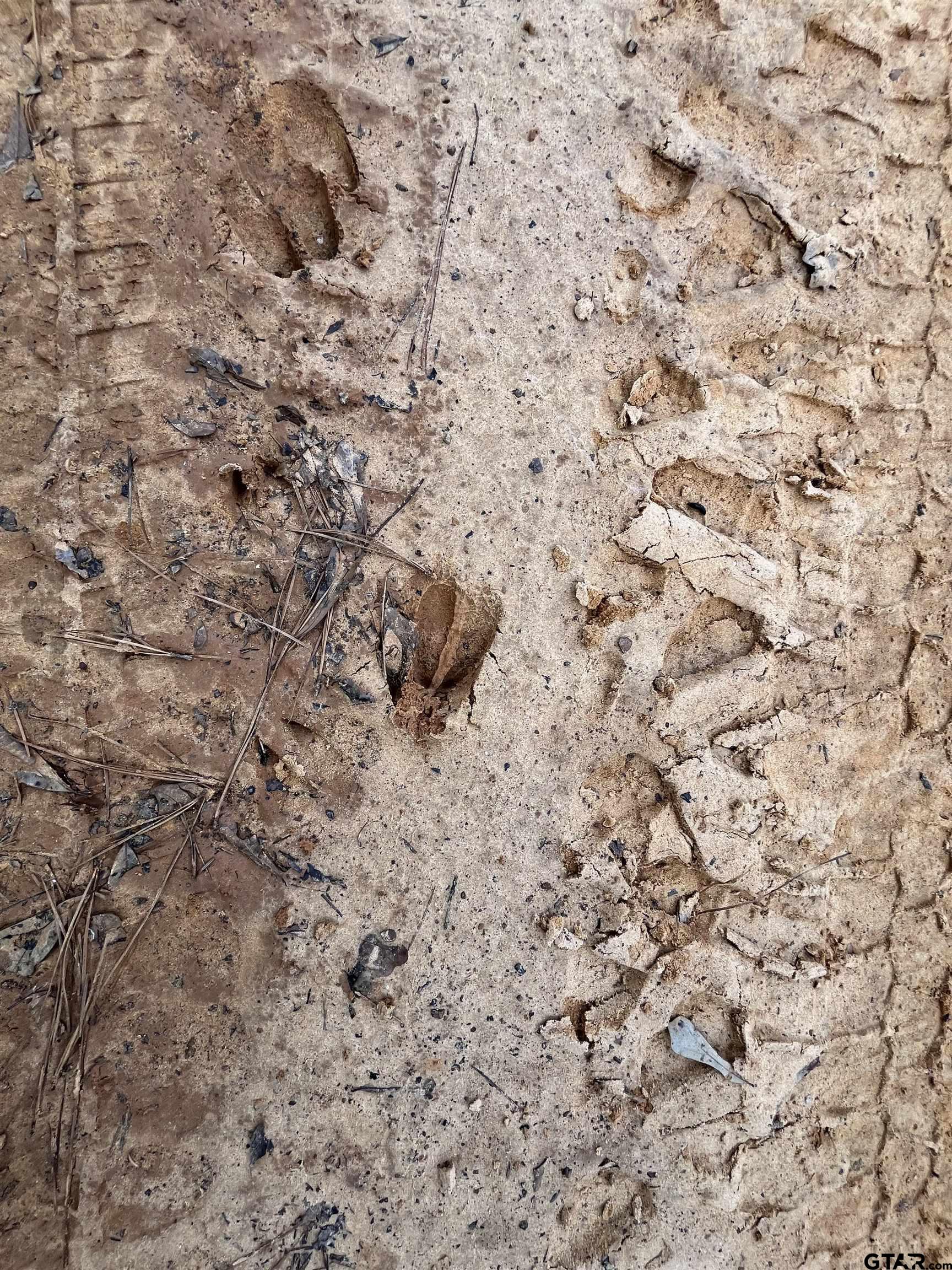 7 Venus Road White Oak, TX 75693 - Photo 10 of 14