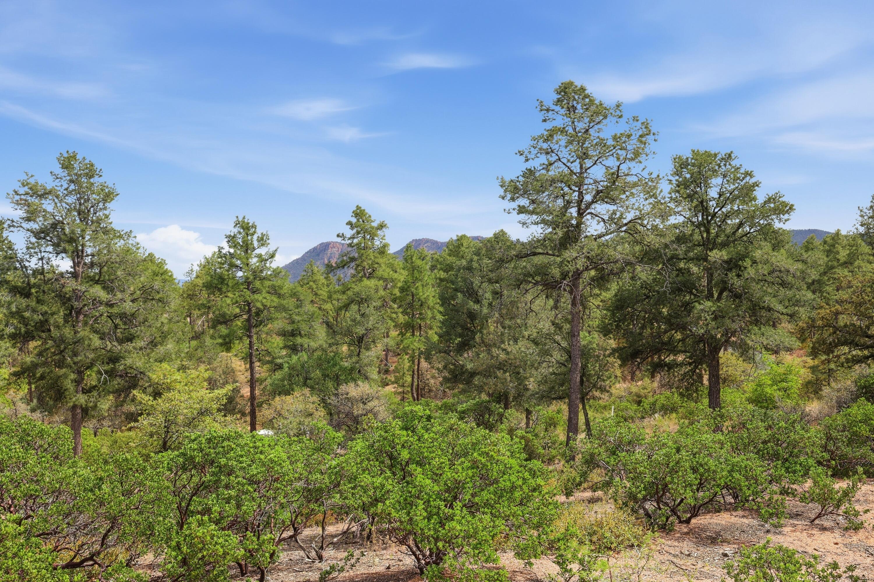 210 South Rim Club Drive Payson, AZ 85541 - Photo 11 of 19 a view of a lake