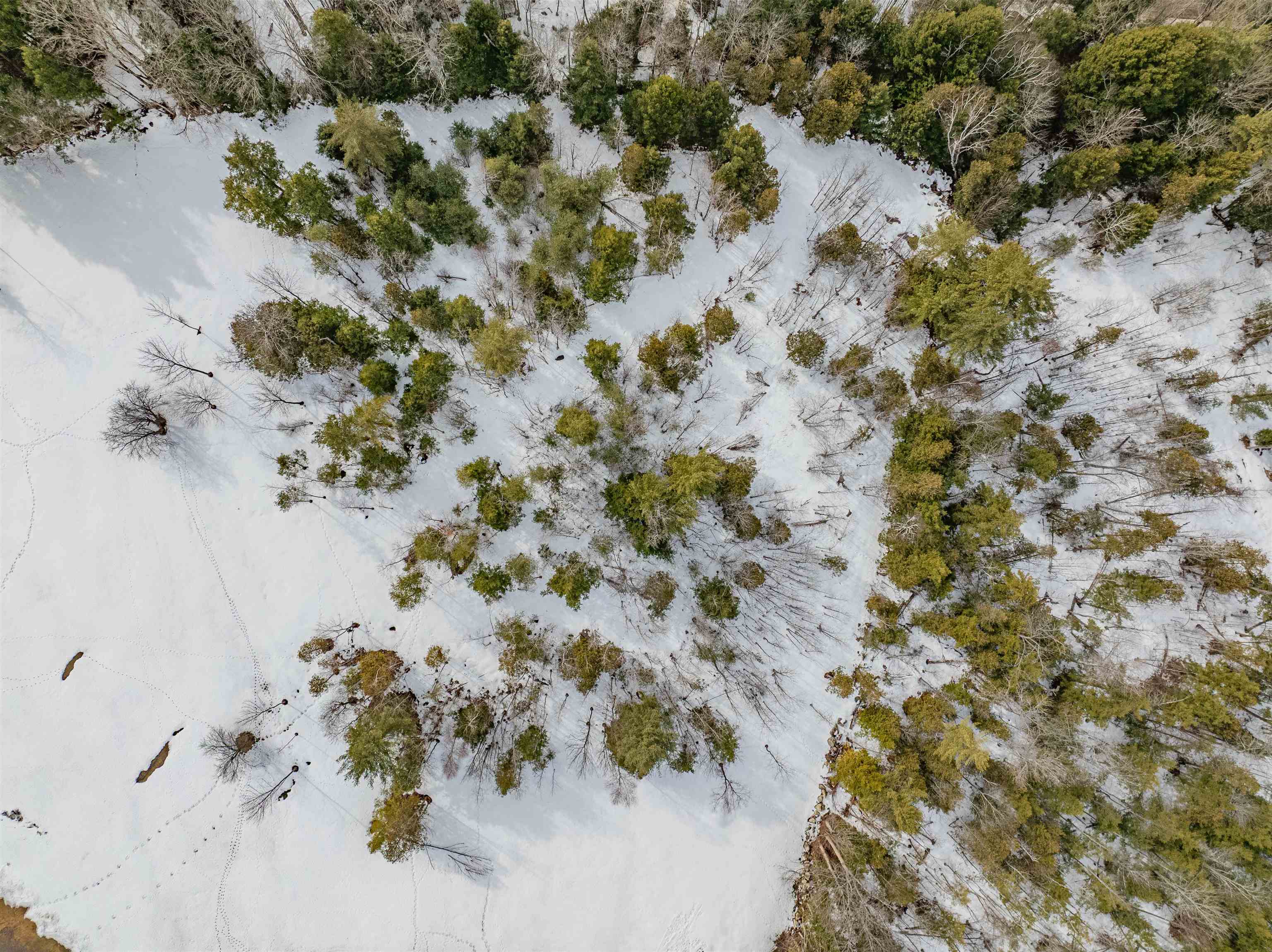 0 Middle Road, Unit 1 AND 2 Graniteville, VT 05654 - Photo 8 of 15