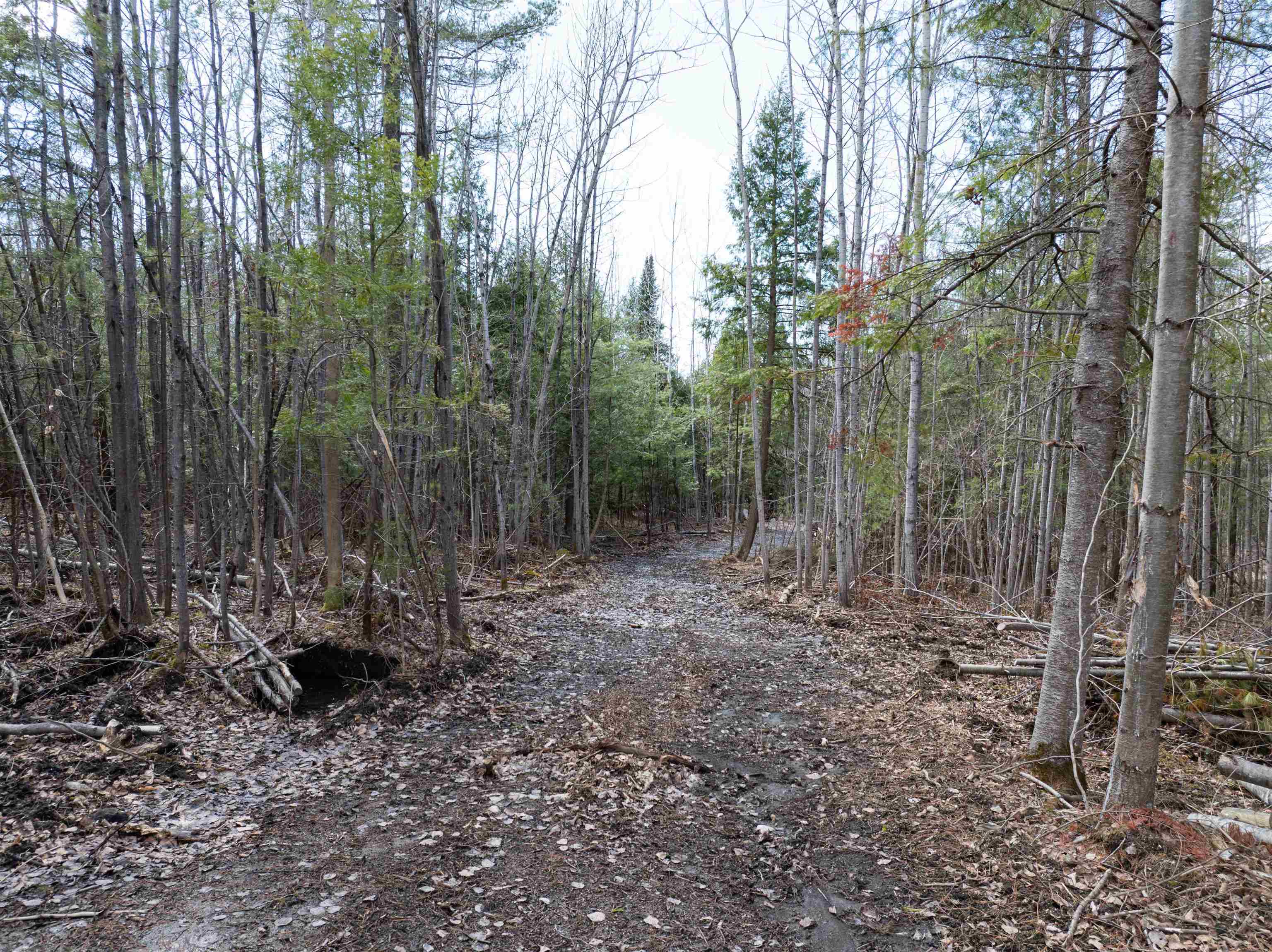 0 Middle Road, Unit 1 AND 2 Graniteville, VT 05654 - Photo 9 of 15