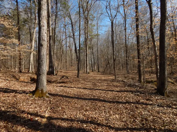 a view of a backyard of the house