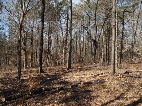 a view of a backyard of the house