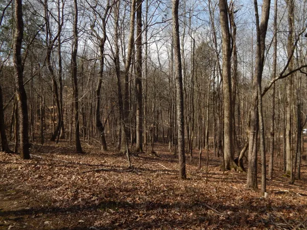 a view of outdoor space with deck