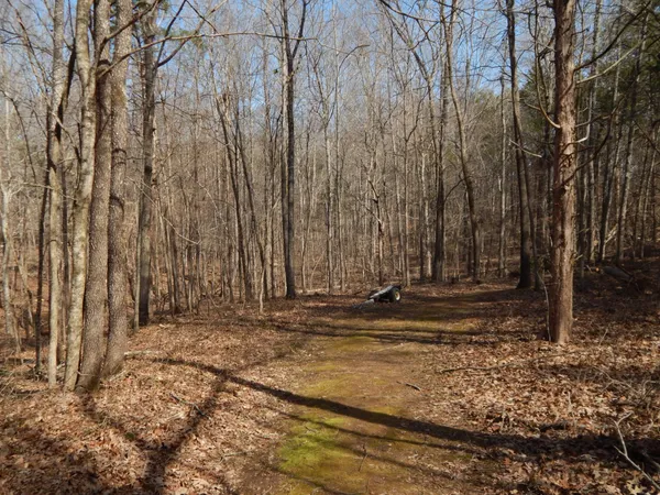 a view of a backyard of the house
