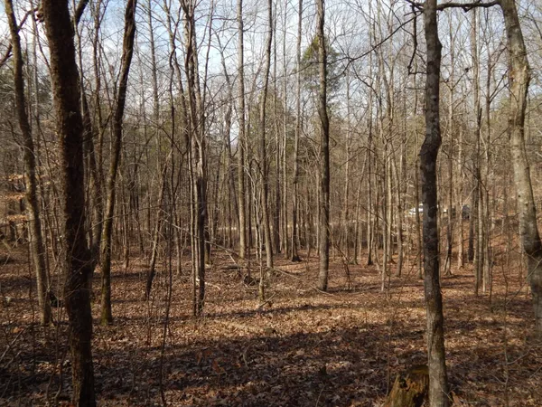 $58,000 | 0 Ian Drive, Clifton, TN 38425