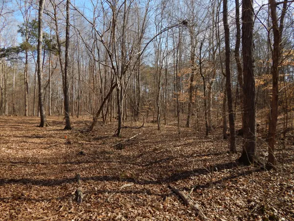 a view of backyard with green space