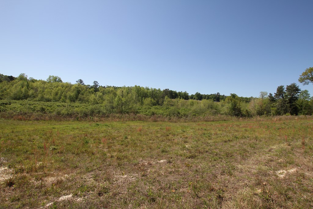 2500 Dean Church Road Ozark, AL 36360 - Photo 3 of 16
