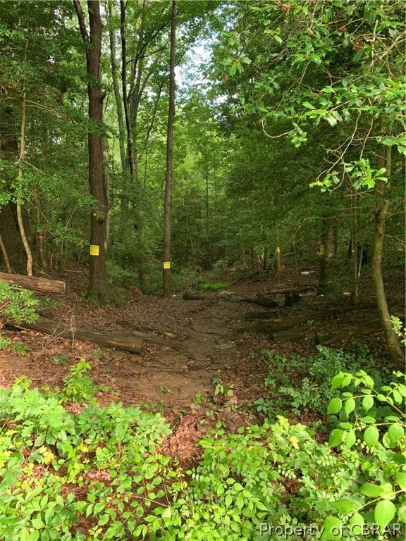 0 Pebble Road Heathsville, VA 22473 - Photo 4 of 5