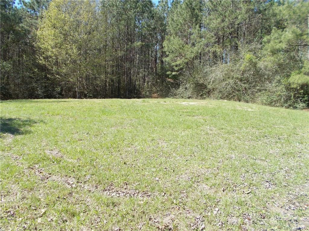 83160 Press Sharp Road Bush, LA 70431 - Photo 13 of 22 Gallery Image 13