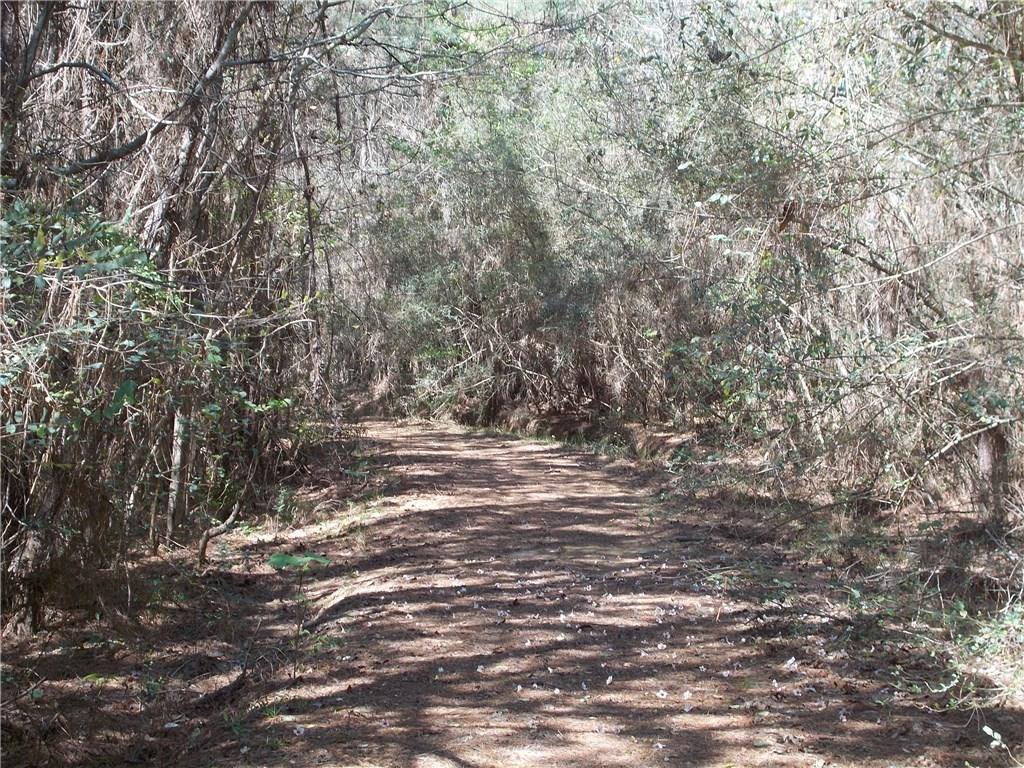 83160 Press Sharp Road Bush, LA 70431 - Photo 19 of 22 Gallery Image 19