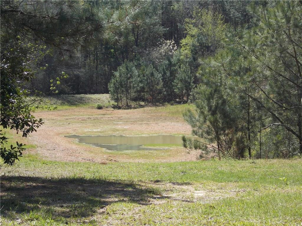 83160 Press Sharp Road Bush, LA 70431 - Photo 20 of 22 Gallery Image 20