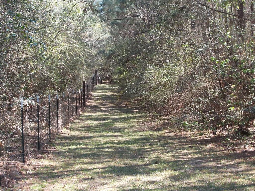 83160 Press Sharp Road Bush, LA 70431 - Photo 22 of 22 Gallery Image 22