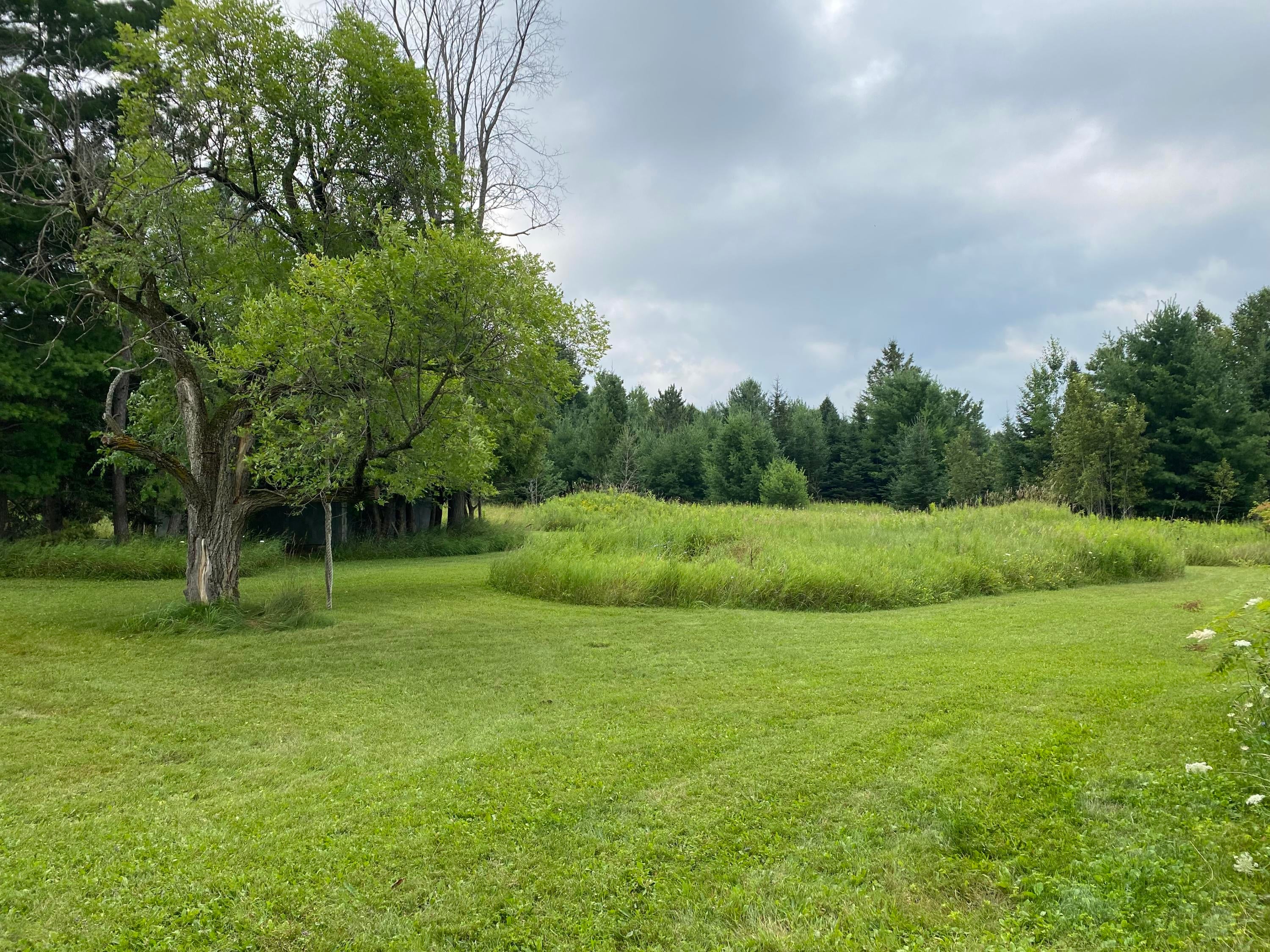 3804 Little Canada Road Cheboygan, MI 49721 - Photo 6 of 34 Gallery Image 6