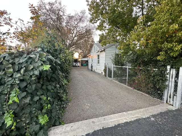 a view of a field with plants and trees