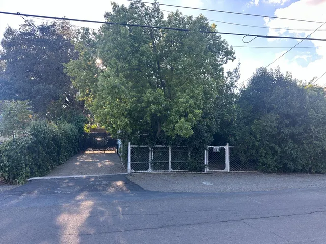 a view of a yard with a tree