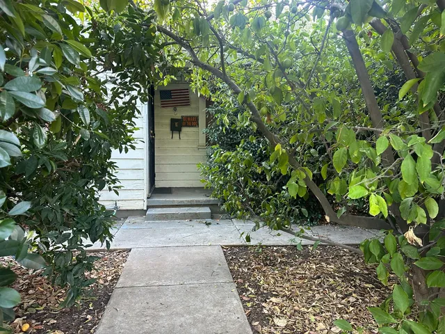 a backyard of a house with plants and trees