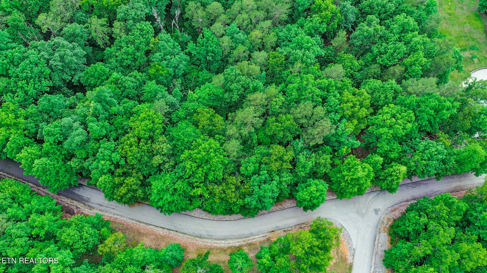 Eagle Bluff Jamestown, TN 38556 - Photo 12 of 37 dji_0390-dji_0392