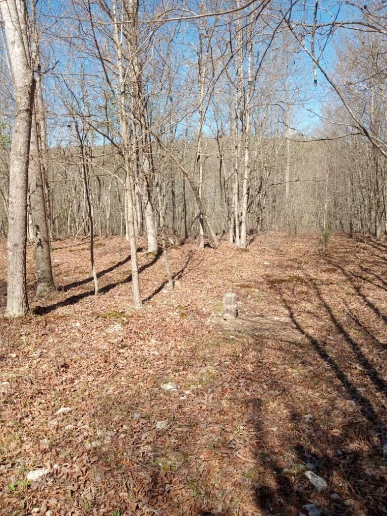 0 Rayl Hollow Road Decatur, TN 37322 - Photo 16 of 18 Gallery Image 16