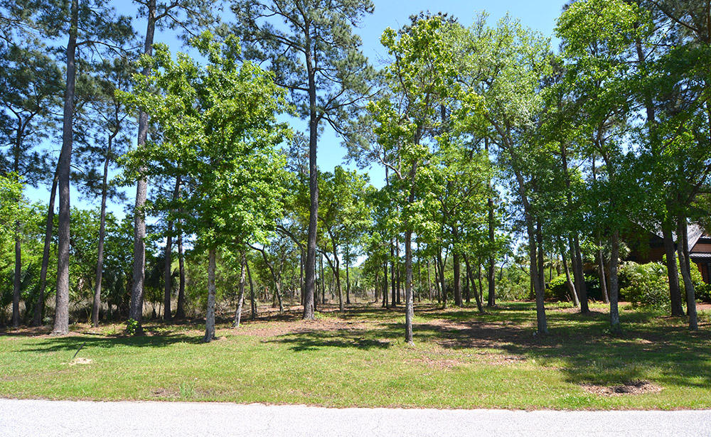 58 Watroo Point Charleston, SC 29492 - Photo 5 of 8 DSC_0271 web