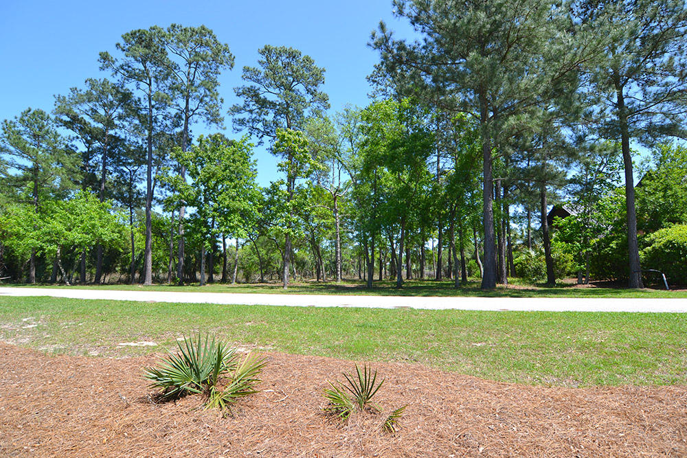 58 Watroo Point Charleston, SC 29492 - Photo 6 of 8 DSC_0273 web