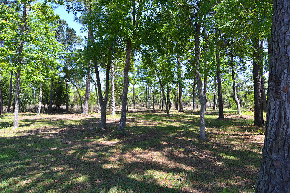 58 Watroo Point Charleston, SC 29492 - Photo 7 of 8 DSC_0275 web