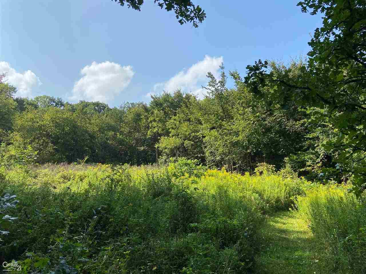 0 Marshall Road South Lyon, MI 48178 - Photo 16 of 29