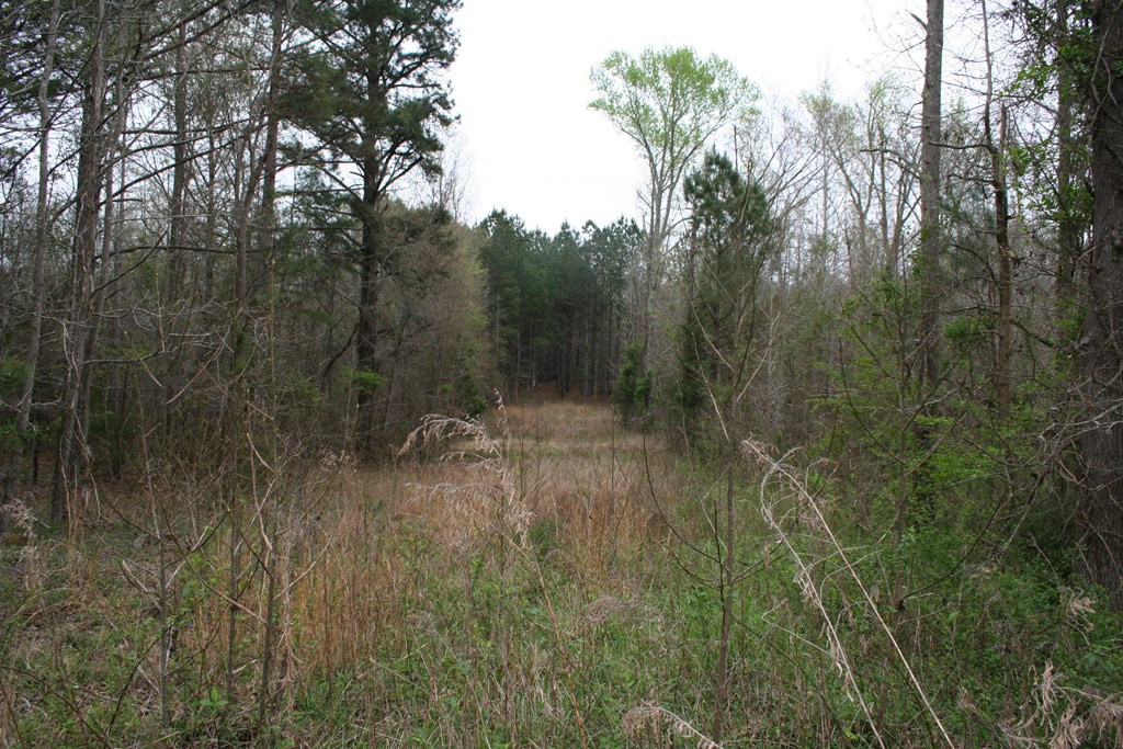 6388 Cobbham Road Appling, GA 30802 - Photo 11 of 35