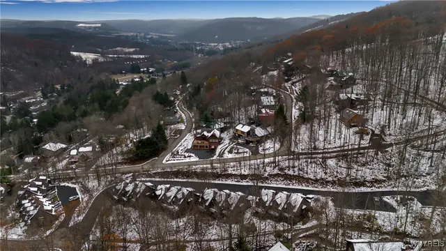 $485,000 | 56 Valley View, Ellicottville, NY 14731